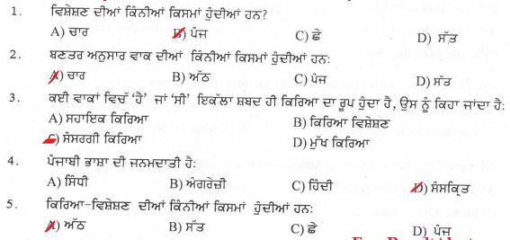 Punjab Patwari Ans Key Download