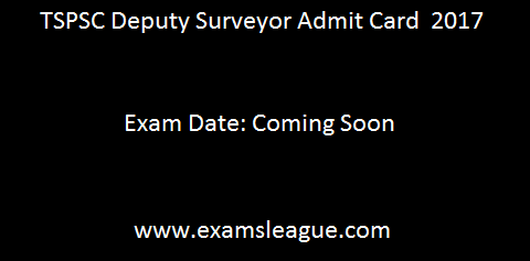 TSPSC Deputy Surveyor Admit Card 