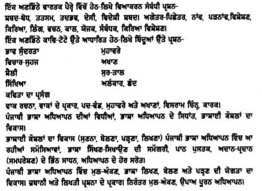 REET Punjabi Level 1 & 2 Syllabus 2017