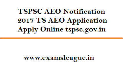 TSPSC AEO Notification 2017 TS AEO Application Apply Online tspsc.gov.in