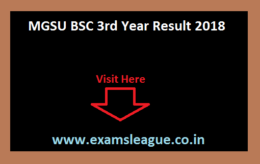 MGSU BSC 3rd Year Result