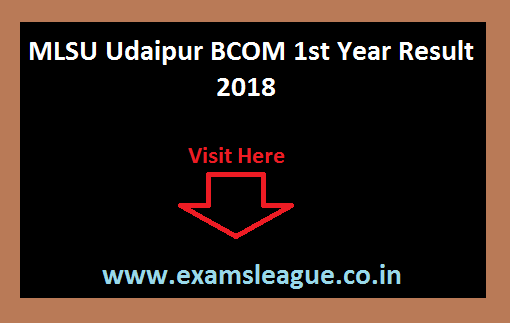 MLSU Udaipur BCOM 1st Year Result 2018