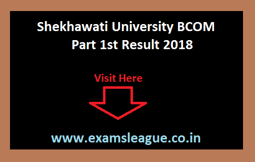 Shekhawati University BCOM Part 1st Result