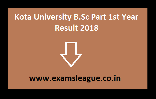 Kota University B.Sc Part 1st Year Result