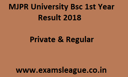 MJPR University Bsc 1st Year Result 2018 Private & Regular @ mjpru.ac.in