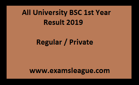 BSC 1st Year Result 2019 Regular / Private