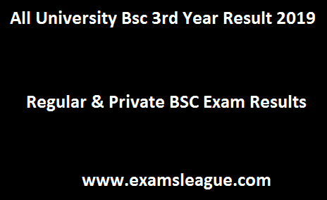 Bsc 3rd Year Result 2019