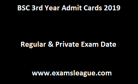 BSC 3rd Year Admit Cards 2019