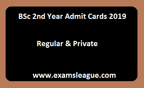BSc 2nd Year Admit Cards 2019