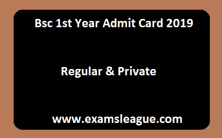 Bsc 1st Year Admit Card 2019 Regular & Private