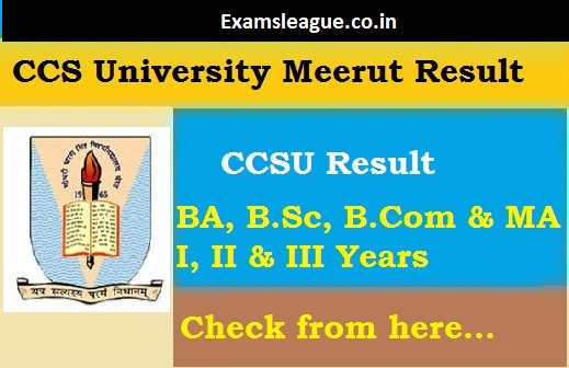 CCSU Meerut BCom Result 2019 