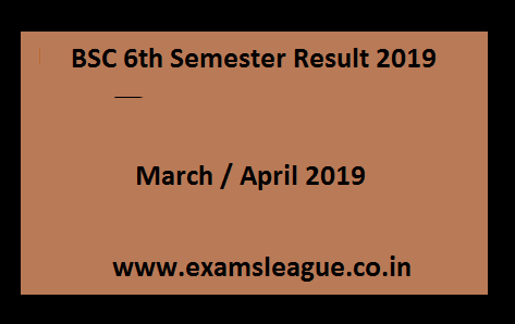 BSC 6th Semester Result 2019