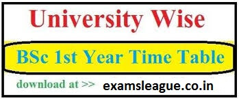 BSC 1st Year Time Table 2020